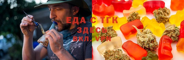 стаф Туринск