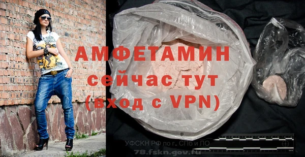 стаф Туринск