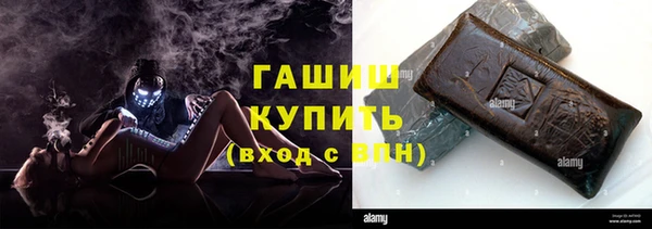 стаф Туринск