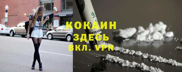 молекула духа Тында