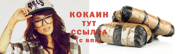 стаф Туринск