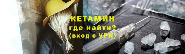 стаф Туринск