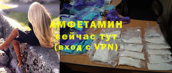стаф Туринск