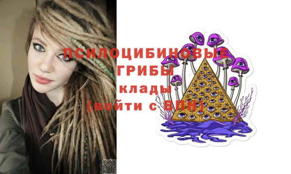 стаф Туринск