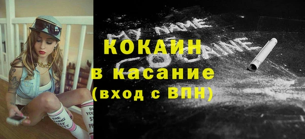 стаф Туринск