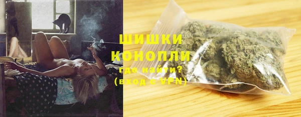 стаф Туринск
